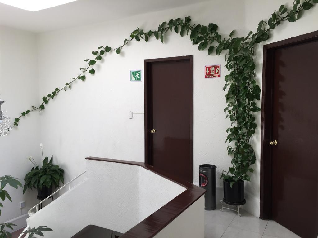 ホテル Casa Maria Elena Condesa (Adults Only) メキシコシティ エクステリア 写真