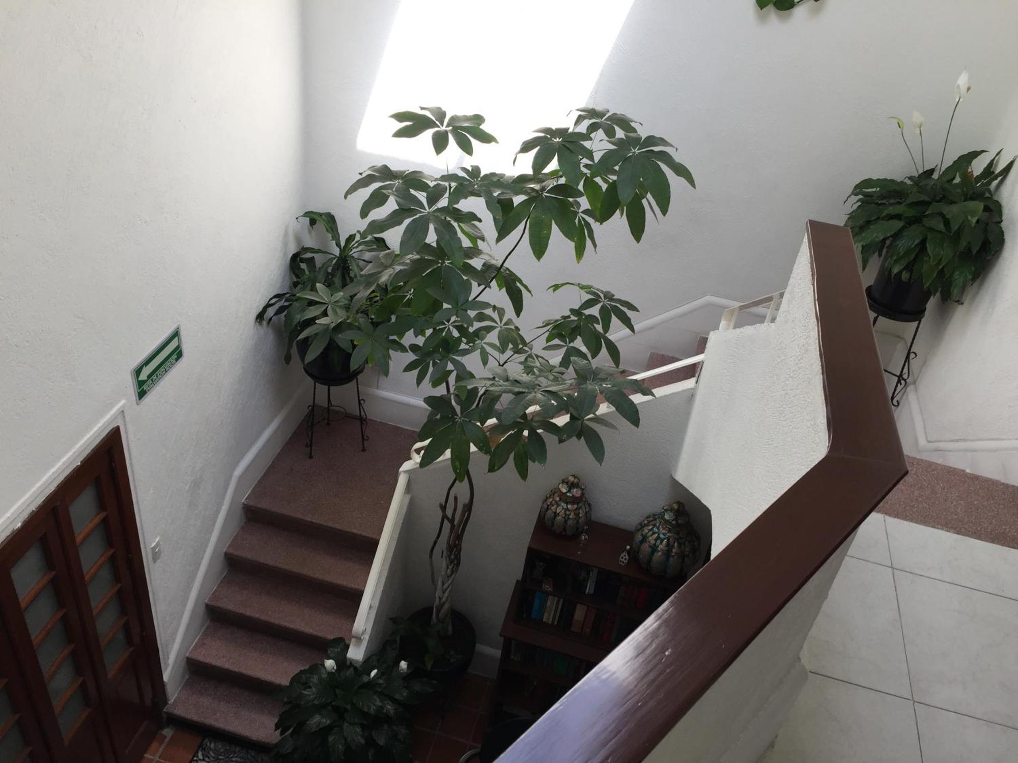 ホテル Casa Maria Elena Condesa (Adults Only) メキシコシティ エクステリア 写真