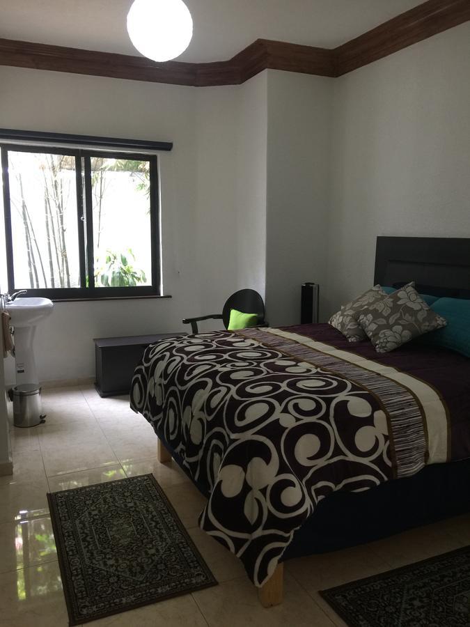 ホテル Casa Maria Elena Condesa (Adults Only) メキシコシティ エクステリア 写真