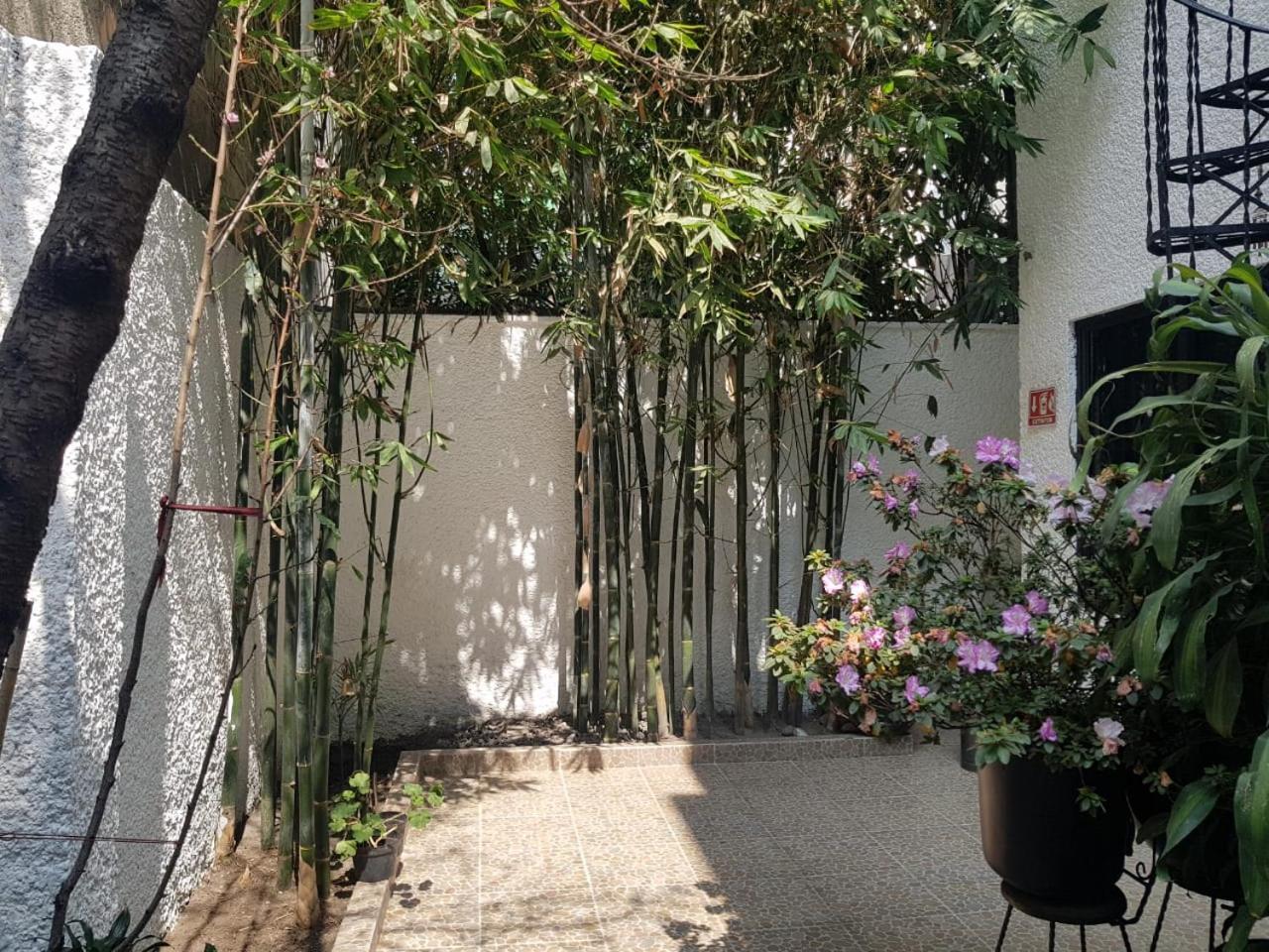 ホテル Casa Maria Elena Condesa (Adults Only) メキシコシティ エクステリア 写真